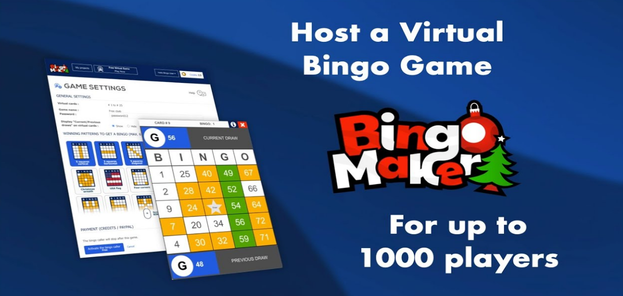 Host A Virtual Bingo game