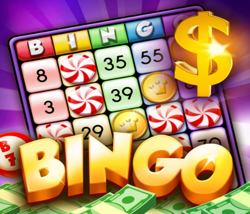 Real Money Bingo Apps