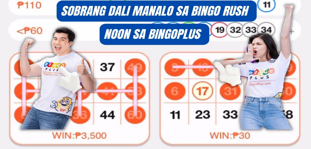 Disadvantages and Criticisms of Bingo Plus