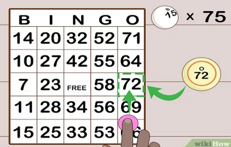 Play Bingo