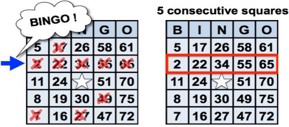 What Numbers Win at Bingo