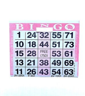 1 on Pink Plus Pattern Bingo Paper Cards