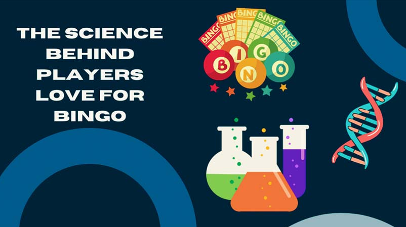 The Science Behind Players Love for Bingo