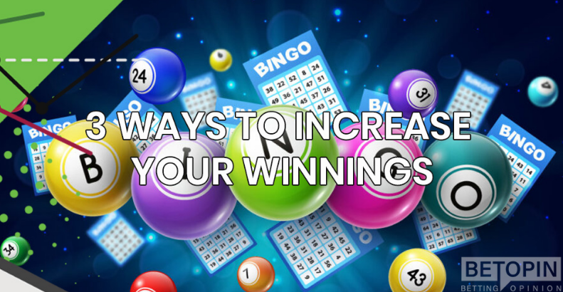 Online Bingo: 3 Ways to Increase your Winnings In 2023