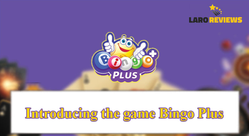 Bingo Plus Tips and Tricks